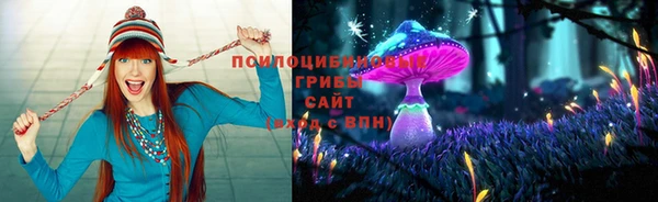 бошки Зерноград