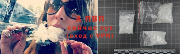сатива Аркадак