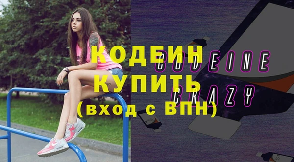 сатива Аркадак