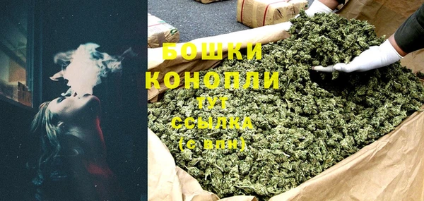 сатива Аркадак