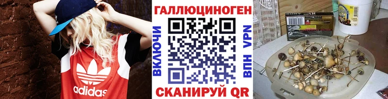 Псилоцибиновые грибы мухоморы  Новомосковск 