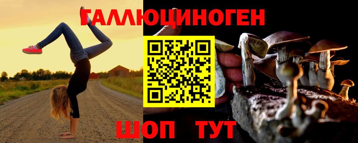 Псилоцибиновые грибы Psilocybe Новомосковск